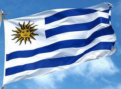 Graves violaciones en el Proyecto de ley integral contra la violencia de genero en Uruguay