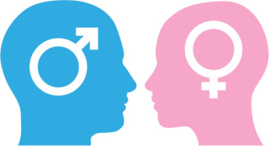 Ideología de género o cuando se pierde el sentido común