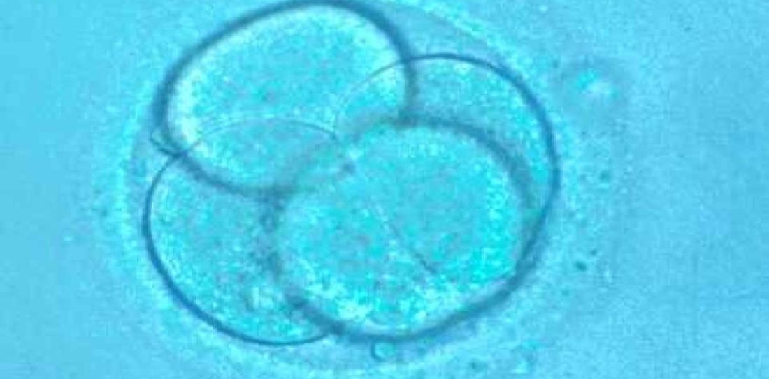Dignidad embriones humanos congelados