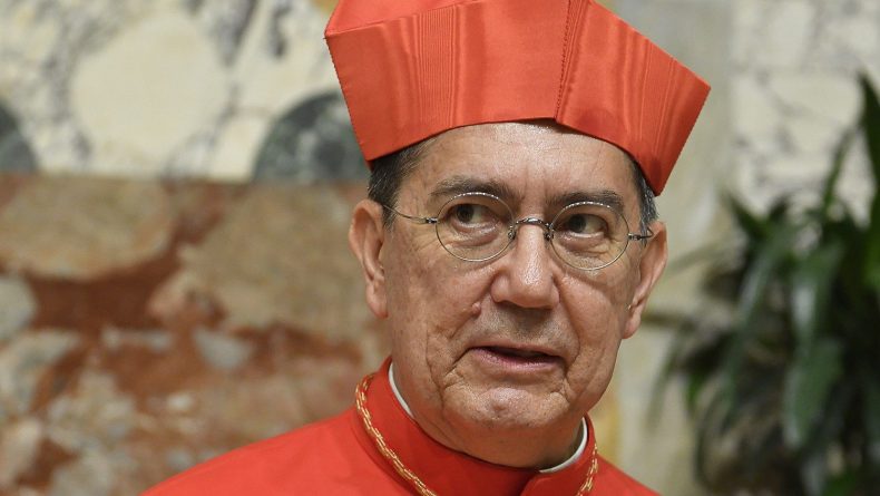 cardenal Ayuso Guixot