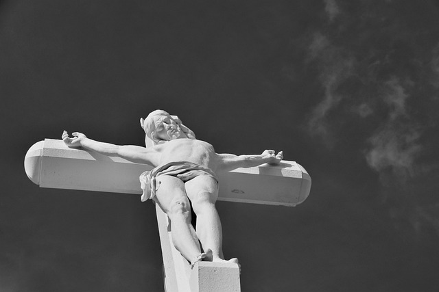 la cruz es vida